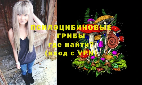 МДПВ Аркадак