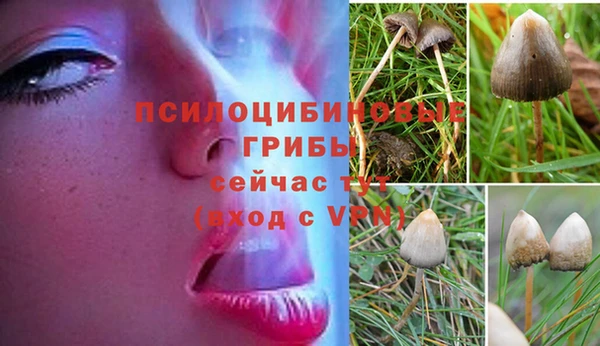 экстази Баксан