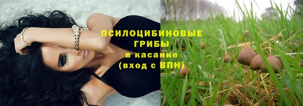 mdpv Арсеньев